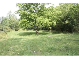 Property photo 27 - 419 +/- Acres offered in 6 Tracts, Land Auction